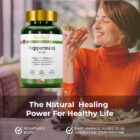Peppermint Tablets Bo He by GinSen