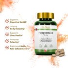 Peppermint Tablets Bo He by GinSen
