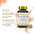 Siberian Ginseng Supplements Eleutherococcus Senticosus by GinSen