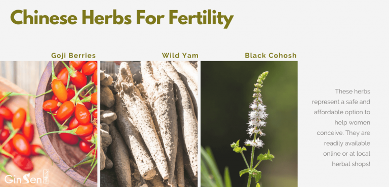 4 Best Chinese Herbs for Fertility | GinSen