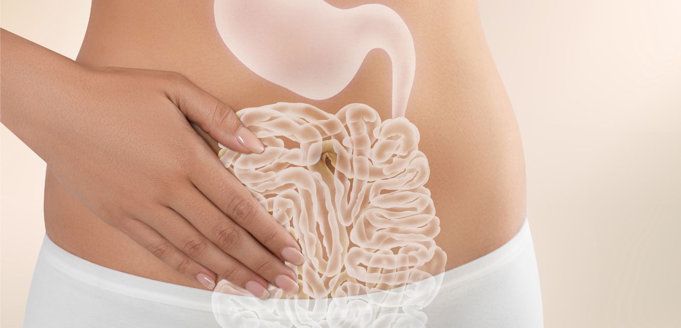 gut health and hormones